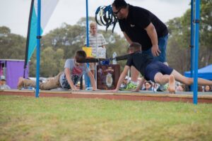 Goanna pulling tug of war