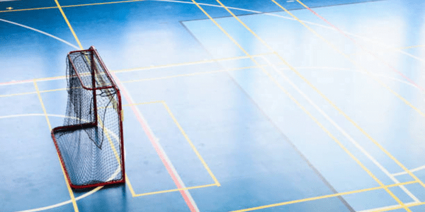 In a Floorball court, a goalpost.