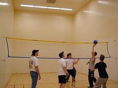 Wallyball featured image
